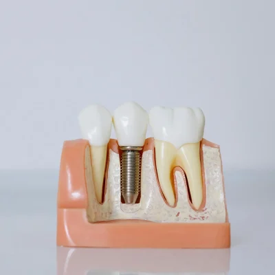 pexels-cottonbro-6502306